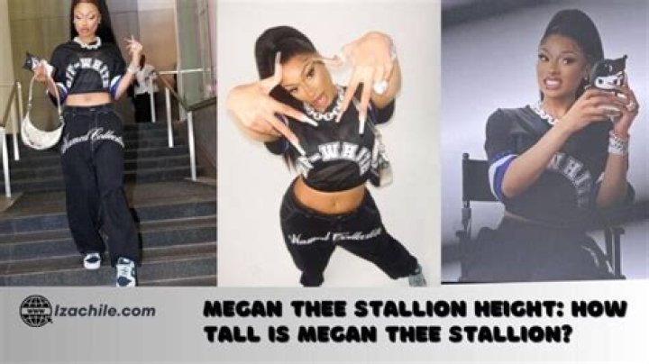 How Tall Is Megan Thee Stallion? (Career & Net Worth)
