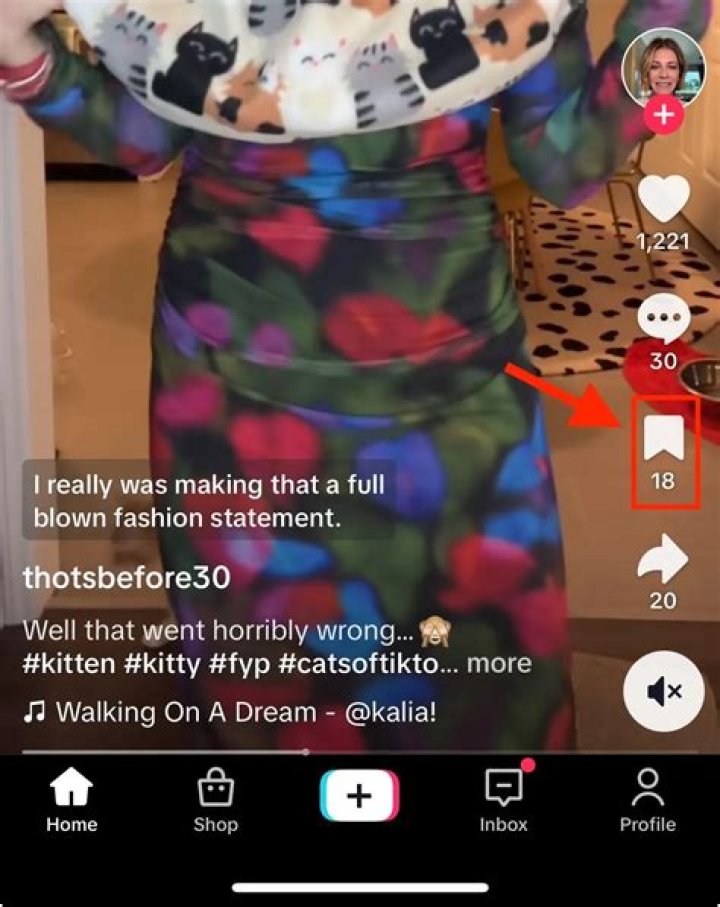 How To Save TikTok Videos in Mobile Gallery Without Watermark in Nepali