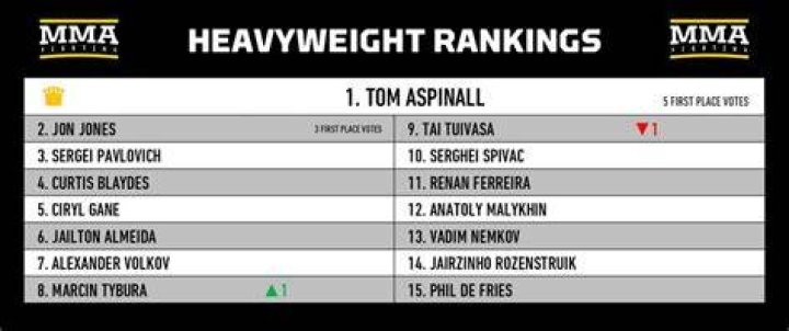 How would r/MMA rank MMA referees? r/MMA