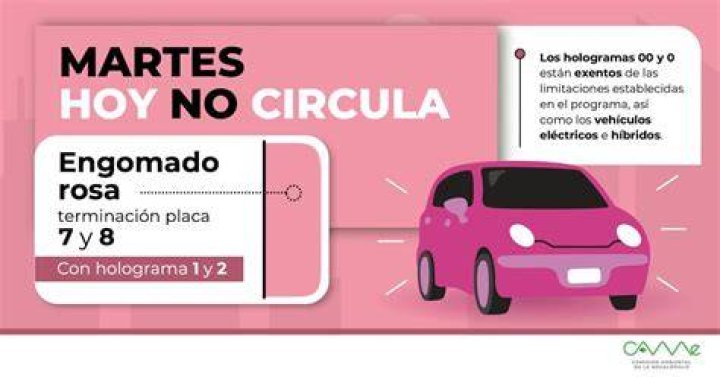 Hoy estamos ma&ntilde;ana no sabemos frases Literato