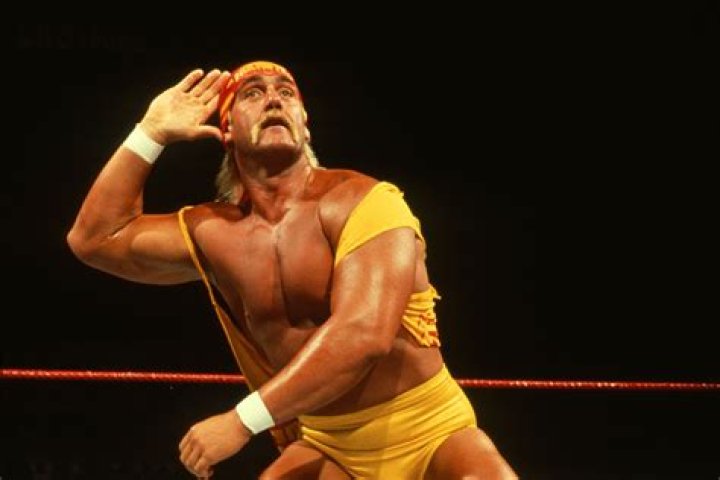 Hulk Hogan's Relationship With Vince McMahon Sr., Explained