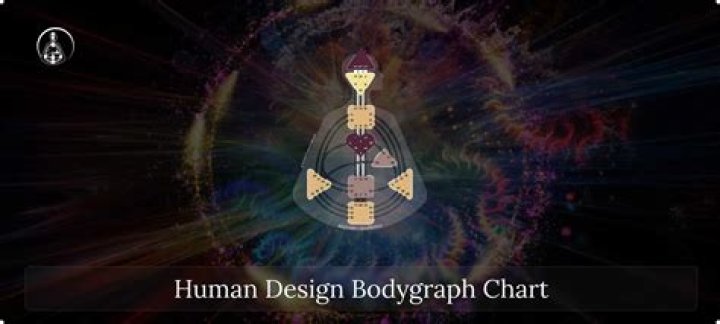Human Design Get Your Sexy Back