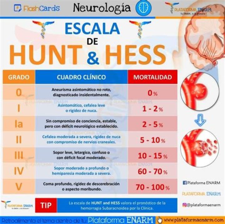 Hunt Hunt's Instagram, Twitter & Facebook on IDCrawl