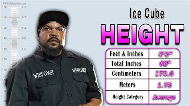Ice Cube Height (With Visual Comparisons) Heartafact