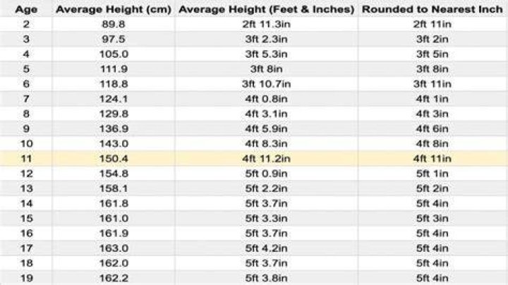 Im 4ft 11 How Much Should I Weigh IrelandhasVillanueva