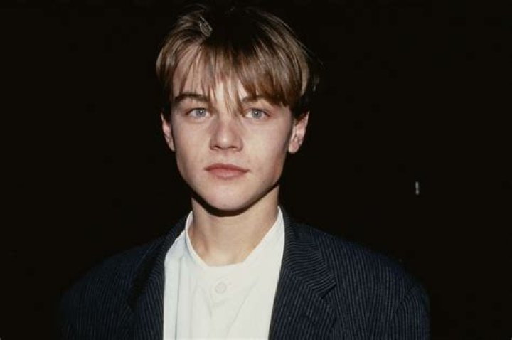 Image detail for Leonardo DiCaprio Movies Collection MediafireDowns