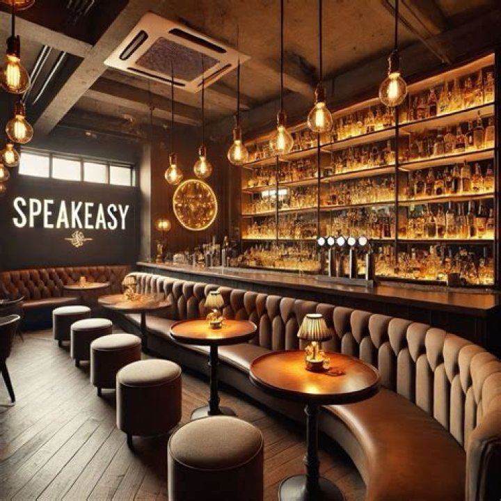 Image result for speakeasy bar Speakeasy bar, Still water, Speakeasy