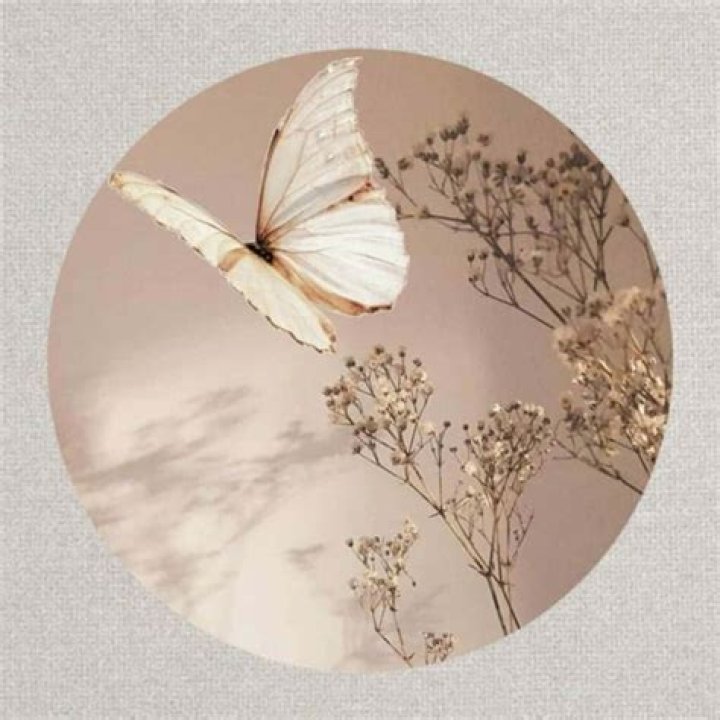 Instagram Cute Images For Profile Picture Get unbiased feedback from