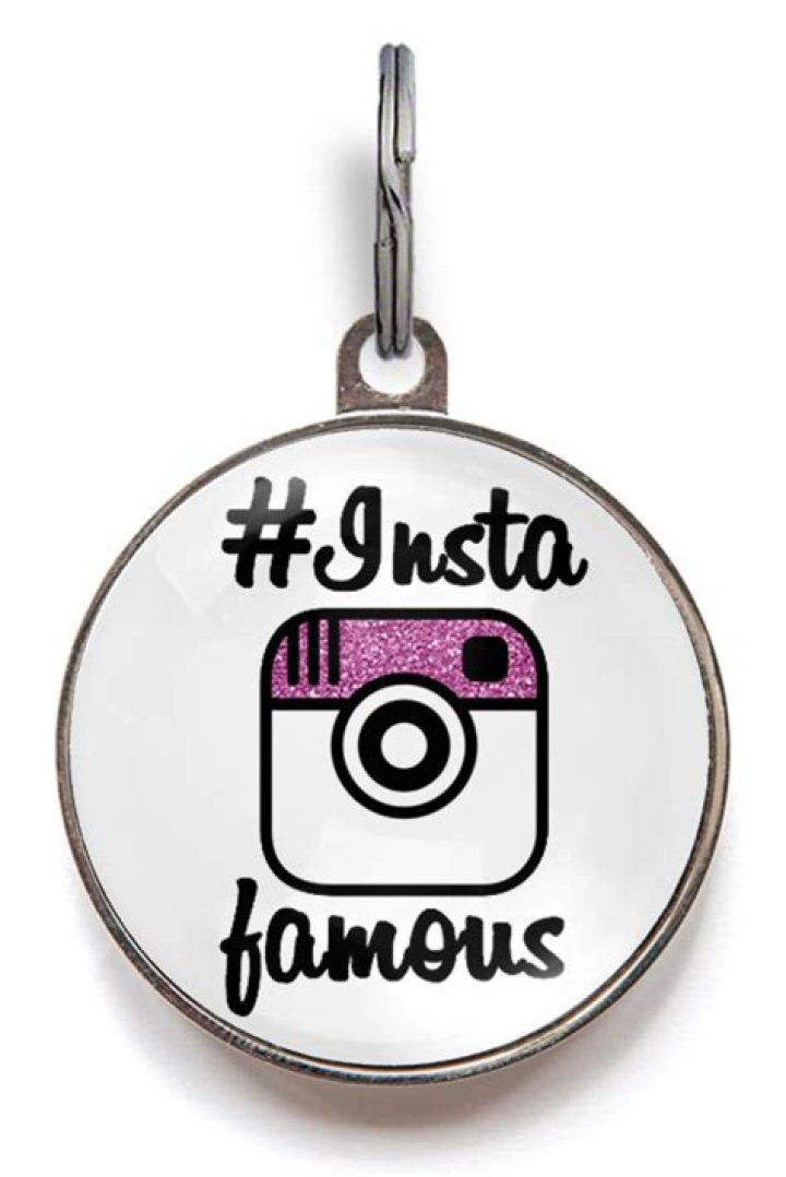 Instagram Pet ID Tag InstaFamous