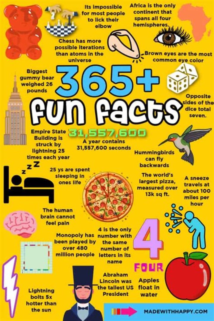 Interesting Facts and Wikis of Your Favourite Celebs and the