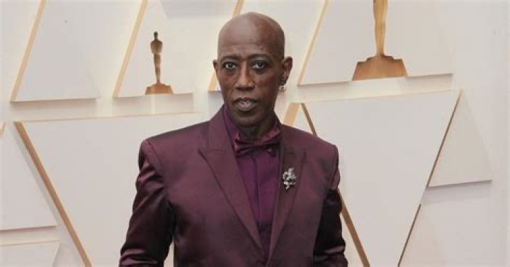 Is Wesley Snipes Sick Skinny Ninja Mom