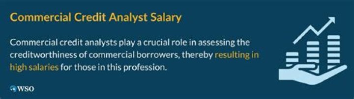 Ivy Brooks Commercial Credit Analyst II Synovus LinkedIn