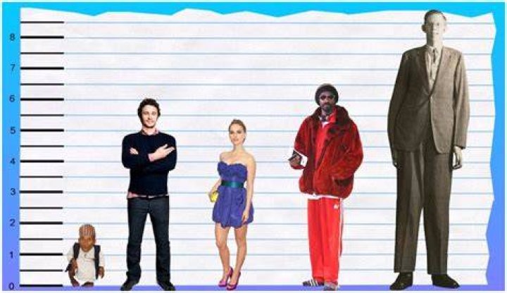 James Franco Height Weight Age Affairs Girlfriend Body Stats Details