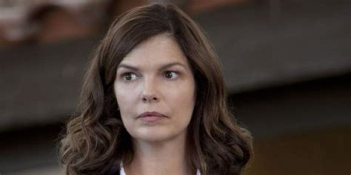 Jeanne Tripplehorn plays Alex Blake on Criminal Minds Criminal minds
