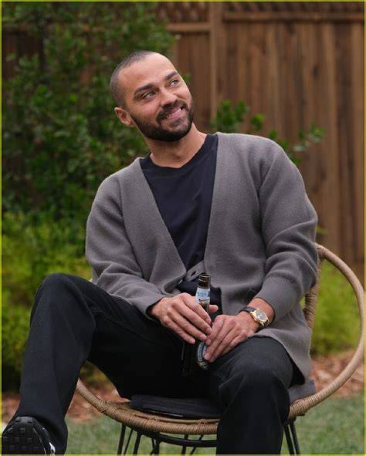 Jesse Williams Talks Possible 'Grey's' Spinoff for Japril, Shares Ellen