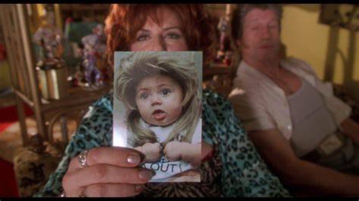 Joe Dirt Rotten Tomatoes