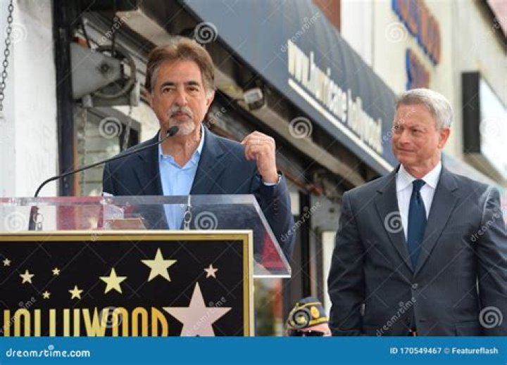 Joe Mantegna & Gary Sinise Host National Memorial Day Concert On PBS