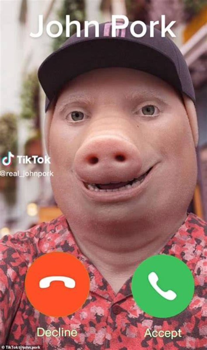 John Pork on Instagram &ldquo;A breath of fresh air 🐽 johnpork&rdquo; Best Memes