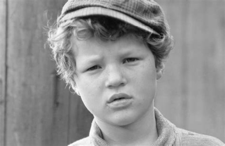 Johnny Sheffield Movies, Bio and Lists on MUBI
