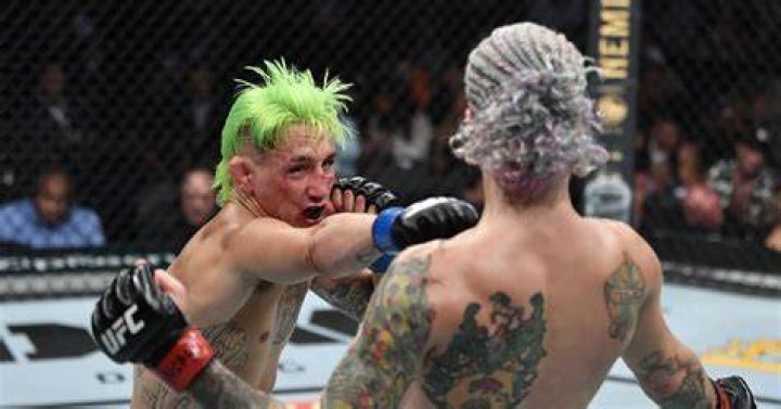 Kris Moutinho returns after Sean O’Malley battle, faces Aaron Phillips