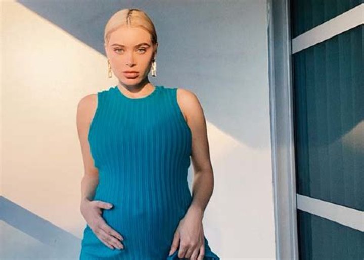 Lana Rhoades Pregnant All Revealed About The Baby's Father!