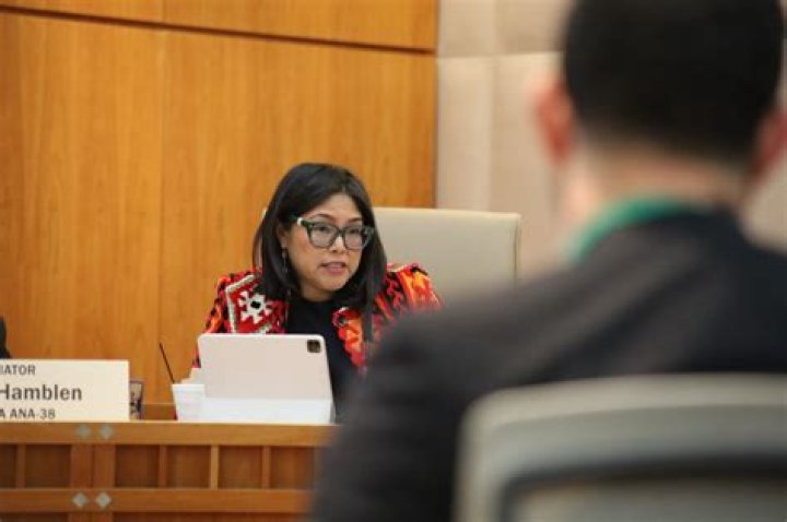 Lawmaker seeks to question businessman in Mueller probe Philippine