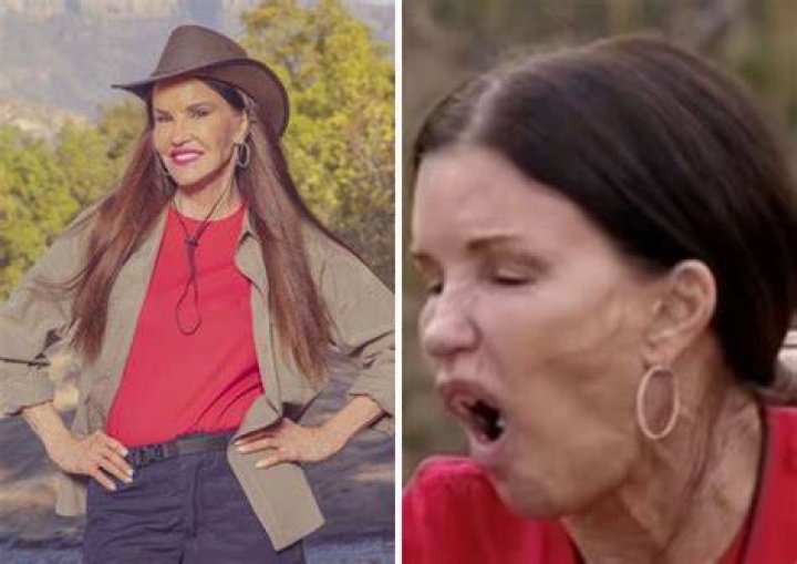 Looking fabulous Janice Dickinson, 62, looked almost unrecognisable as