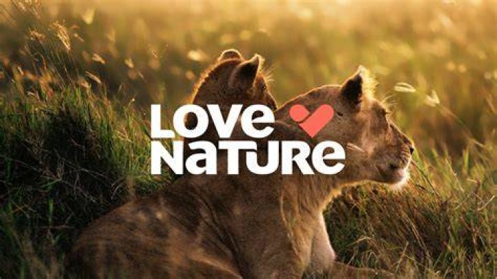 Love Nature Channel Local Now