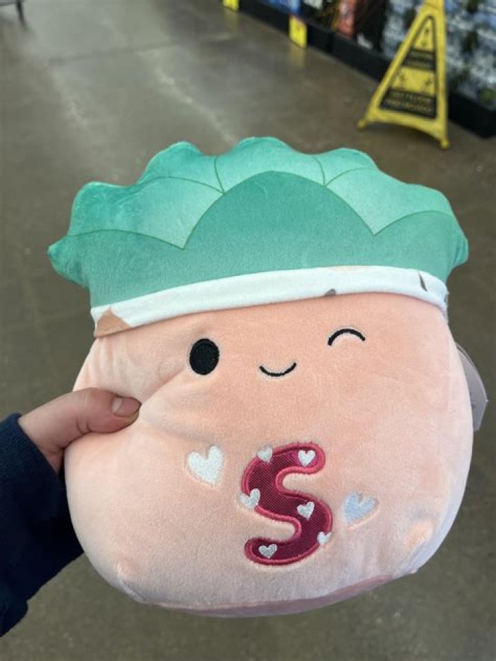 &lsquo;These are super cute&rsquo; Squishmallow fanfare surges in Greeley