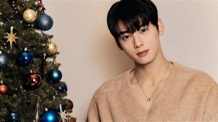 &lsquo;True Beauty&rsquo; Star Cha Eun Woo to Have His First Solo Online Fanmeeting