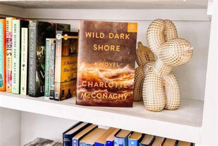 Lyndsay Johnson Book Club Guide for Fire of the Sea