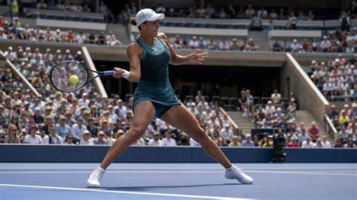 Madison Keys's Boyfriend Bjorn Fratangelo (Bio, Wiki)