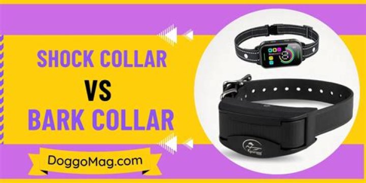 Makeover/Shock Collar (2019)
