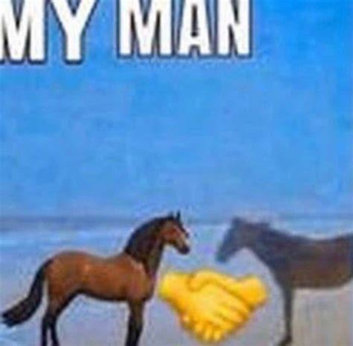 Man Horse Image Meme Captions Viral Today