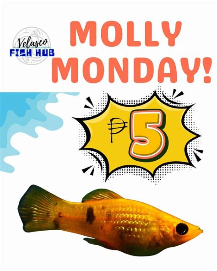 Meet the Media Monday Molly Grantham