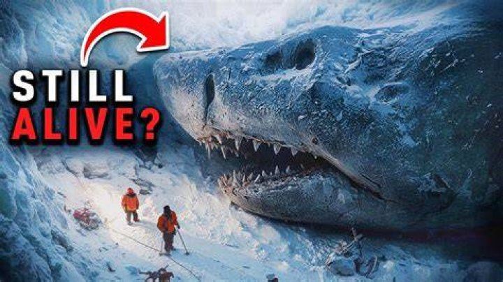 Megalodon found frozen in the ice on Breakaway! Battlefield 2042 YouTube