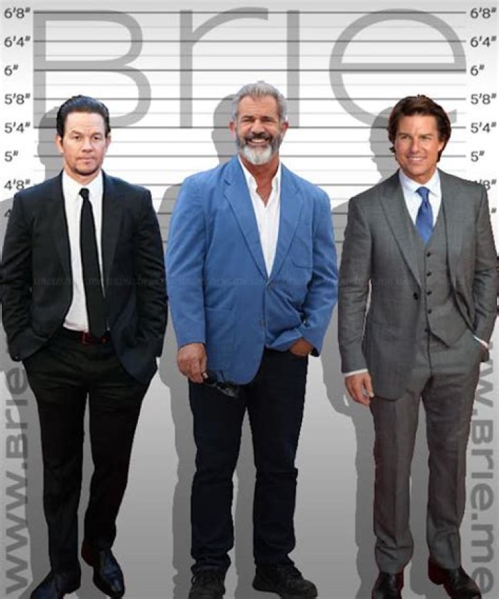 Mel Gibson Height Weight Measurements Age Wife Net Worth