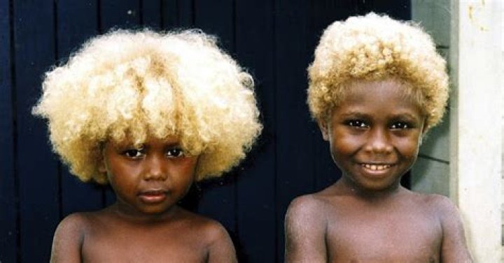 Melanesians Meet the world’s only natural black blondes