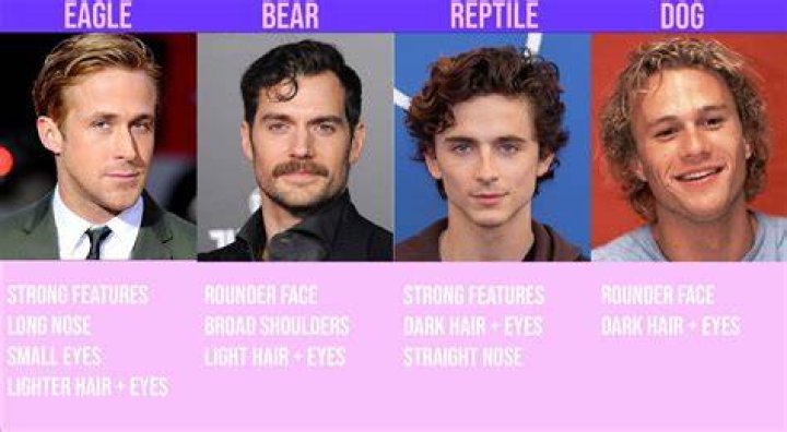 Men are either 'Eagle, Bear, Reptilian or Dog Handsome' according to