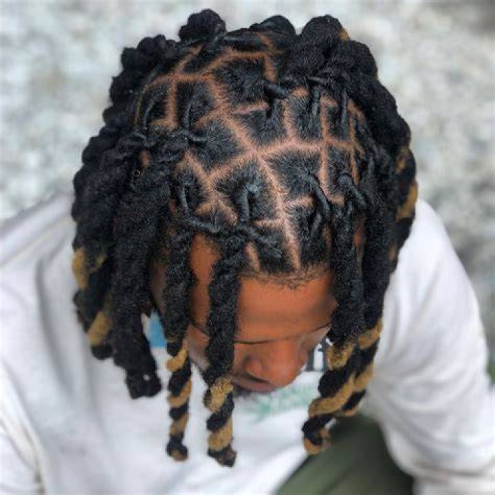Men Locstyles Short locs hairstyles, Dreadlock hairstyles black