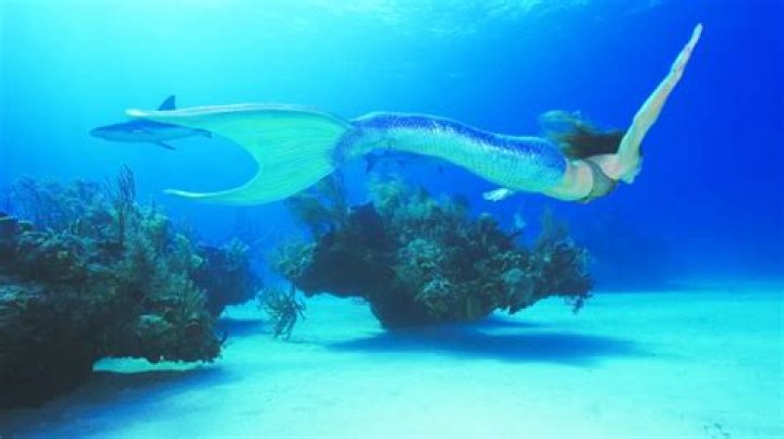 Mermaids