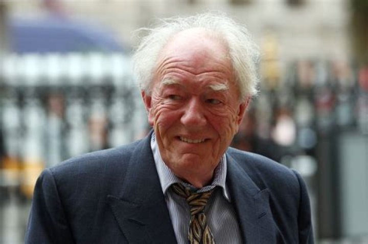 Michael Gambon, British actor who played Dumbledore, dies aged 82 Reuters
