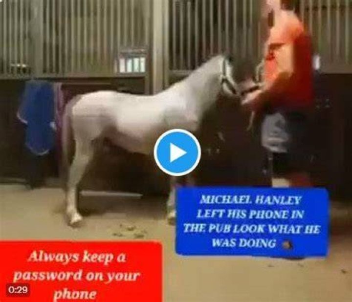 Michael Hanley Horse Video Social Media's Shocking Trend Venezia Beach
