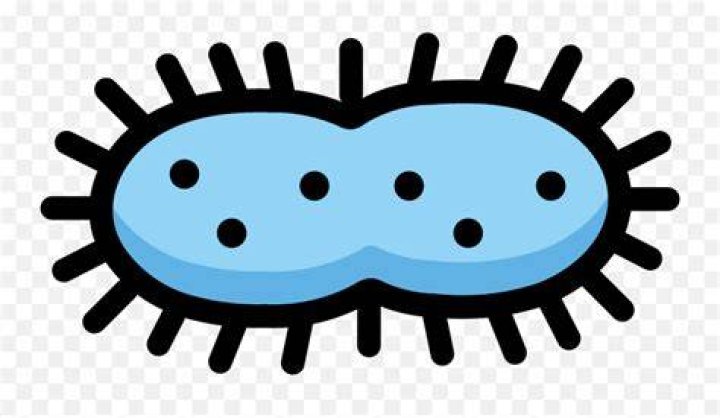 Microbe emoji clipart. Free download transparent .PNG Creazilla