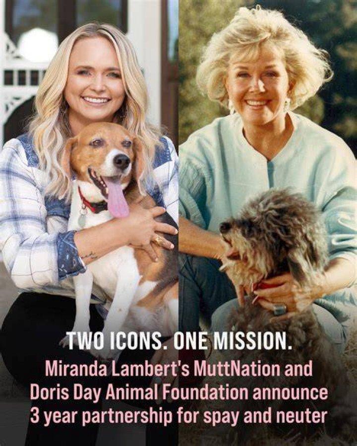Miranda Lambert Might Announce a Pregnancy Sooner Than We Thought