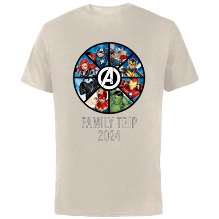 My Family Trip Manifesto Marvel Who Are The Flag Smashers Marvel S