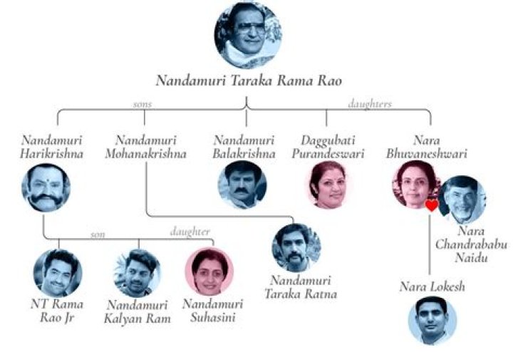 Nandamuri Mohanakrishna Siblings NTR Cusion Health After Heart Attack