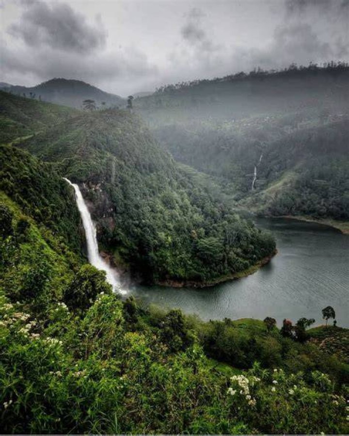 Nature Lovers naturephotography travelphotography naturelovers trip