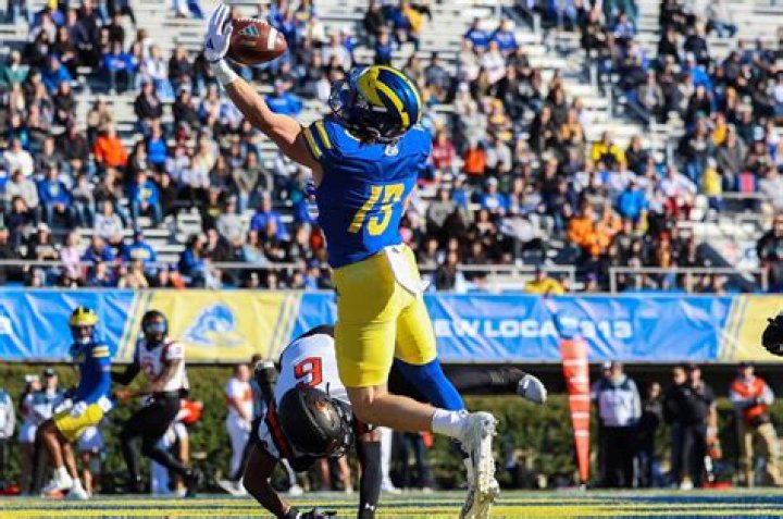 NCAA Delaware Blue Hens Speed Mini Helmet by Riddell. 23.95. The New