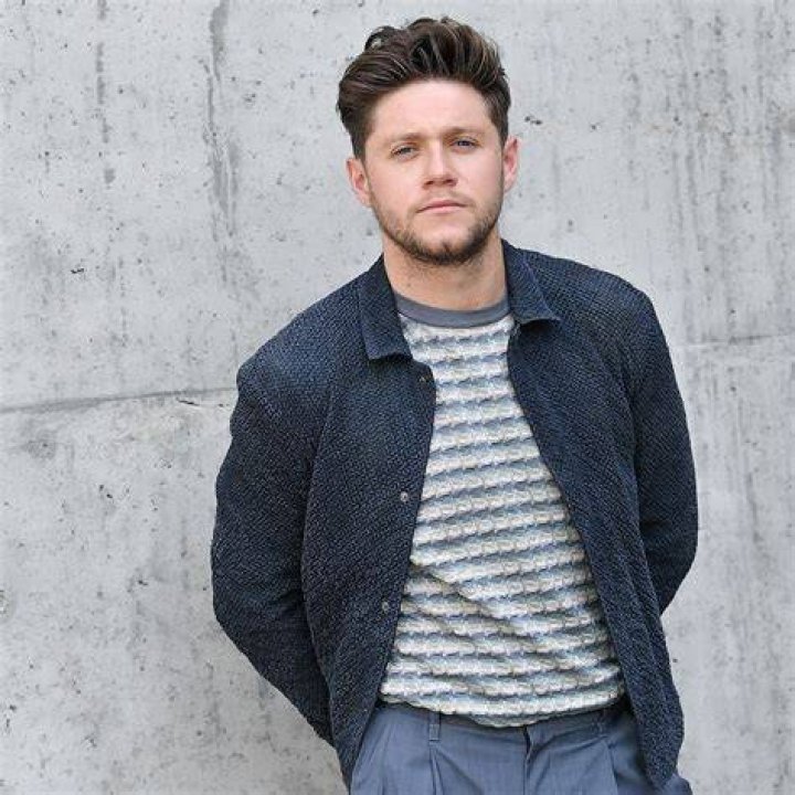 Niall Horan how to get his James Deanworthy haircut British GQ
